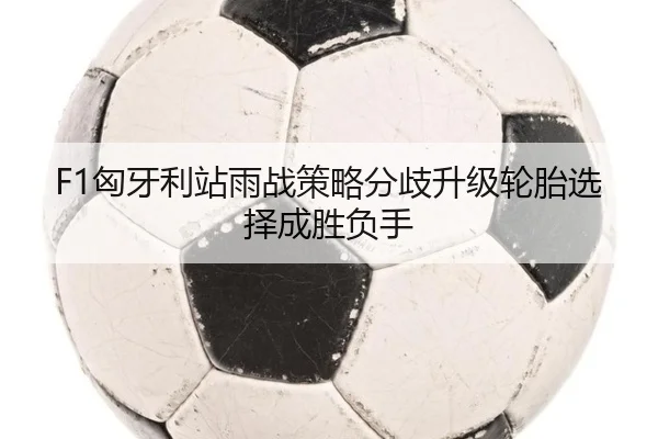 F1匈牙利站雨战策略分歧升级轮胎选择成胜负手